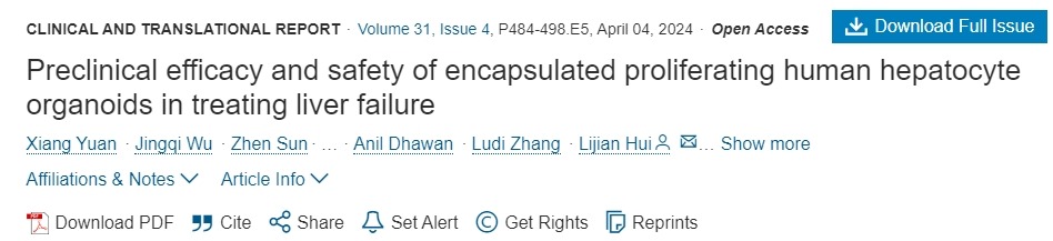 封裝增殖人肝細胞類(lèi)器官治療肝功能衰竭的臨床療效和安全性