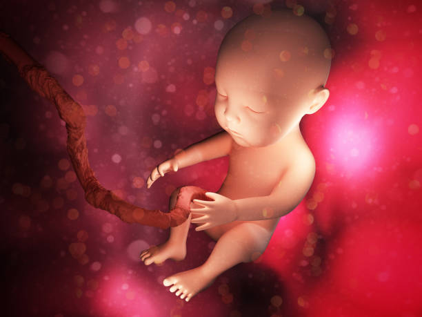 臍帶間充質(zhì)干細胞