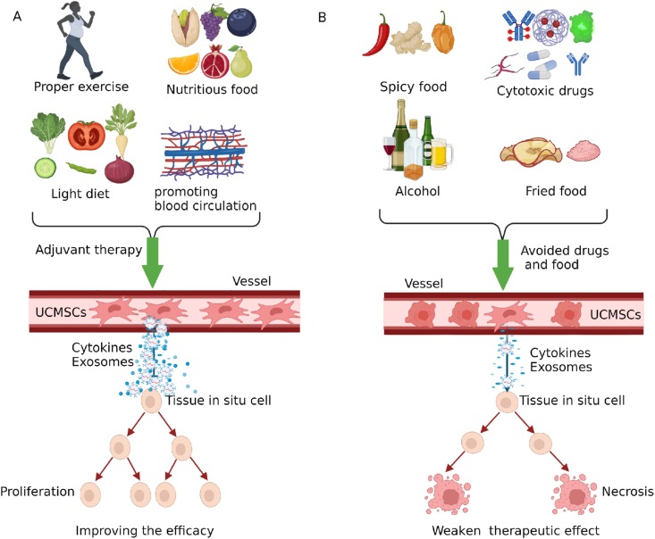 圖3：臍帶間充質(zhì)干細胞治療期間應避免輔助療法、藥物及食物。