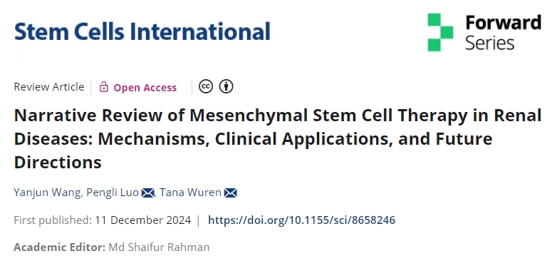 最新綜述：干細胞治療腎臟疾病的機制、臨床應用和未來(lái)方向