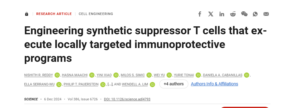 設計合成的抑制性 T 細胞來(lái)執行局部靶向免疫保護程序