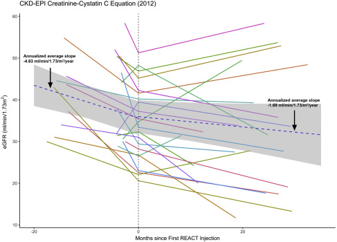 圖1：eGFR（肌酐和胱抑素 C，2012CKD-EPI）對SRC注射的反應。