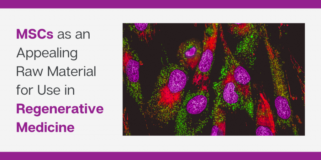 間充質(zhì)干細胞是再生醫學(xué)領(lǐng)域極具吸引力的原材料 間充質(zhì)干細胞是再生醫學(xué)領(lǐng)域極具吸引力的原材料