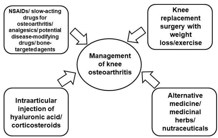 圖2：膝骨關(guān)節炎的當前治療策略。