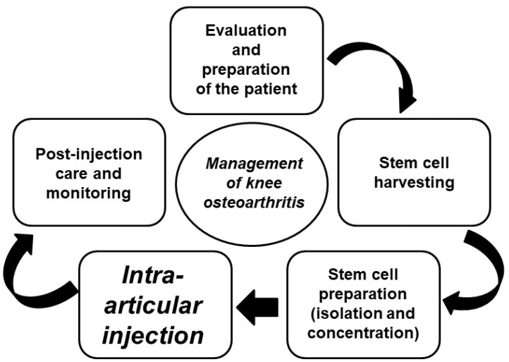 圖4：干細胞治療膝關(guān)節骨關(guān)節炎的過(guò)程