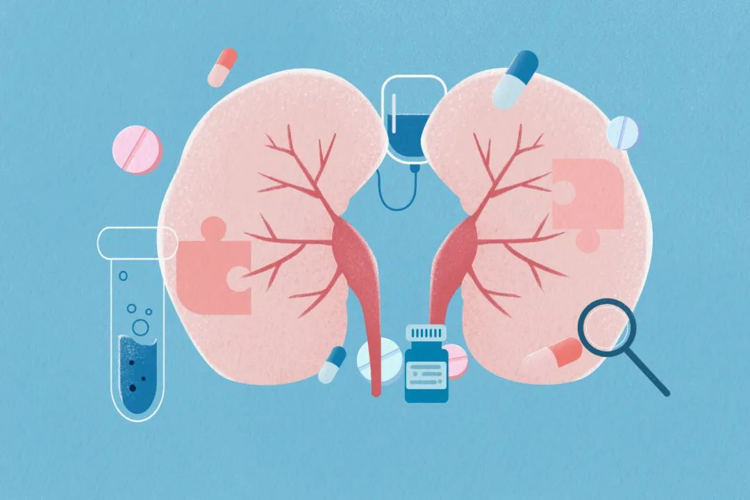 直擊腎科難題！解密干細胞如何重塑腎病患者腎小球濾過(guò)率