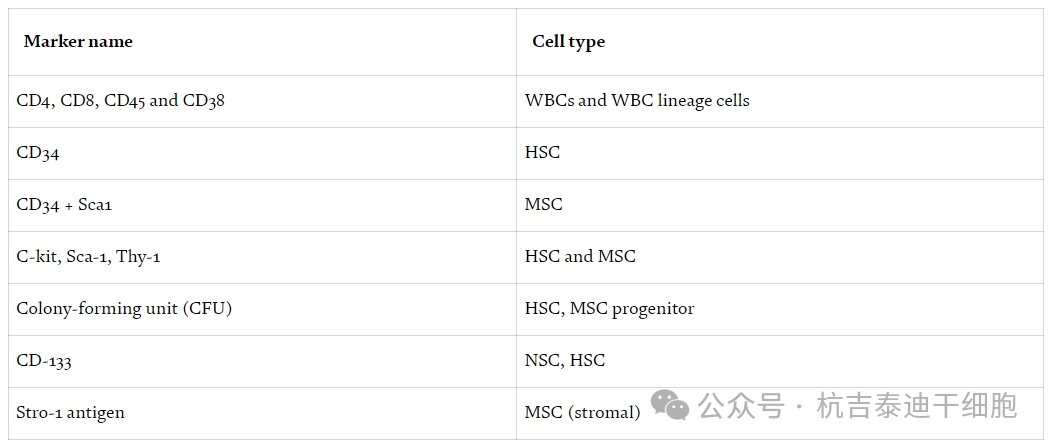 表2：用于識別基本干細胞類(lèi)型的細胞表面標記。