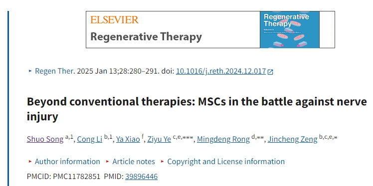 超越傳統療法:間充質(zhì)干細胞對抗神經(jīng)損傷