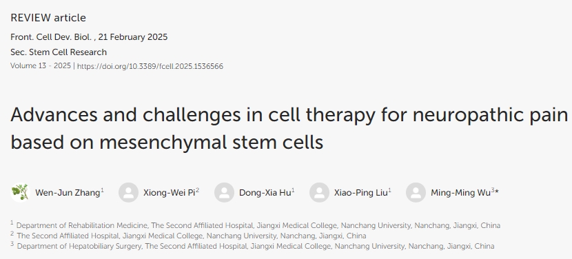 基于間充質(zhì)干細胞的神經(jīng)性疼痛細胞治療進(jìn)展與挑戰