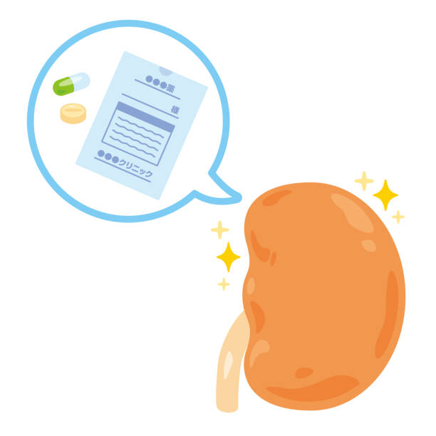 間充質(zhì)干細胞治療腎病的獨特優(yōu)勢：5項臨床驗證患者腎功能改善