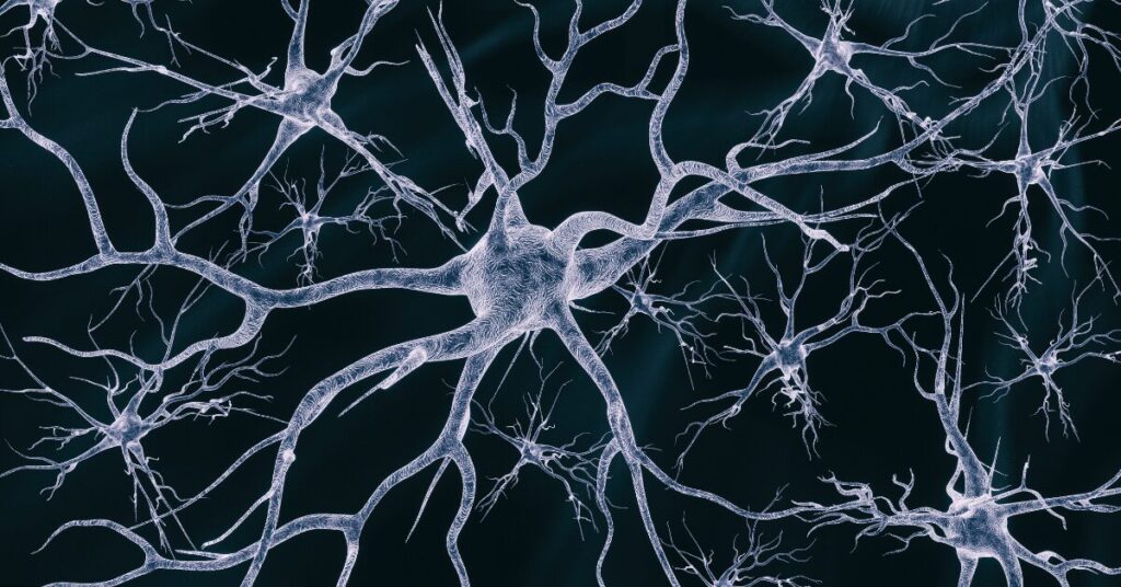 神經(jīng)干細胞移植在神經(jīng)退行性疾病治療和藥物開(kāi)發(fā)中的作用