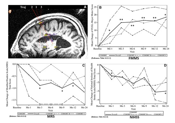24 個(gè)月隨訪(fǎng)的臨床結果 24 個(gè)月隨訪(fǎng)的臨床結果