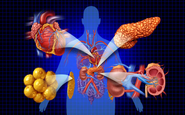 新視角：優(yōu)化間充質(zhì)干細胞治療糖尿病腎病療效的方式有哪些？