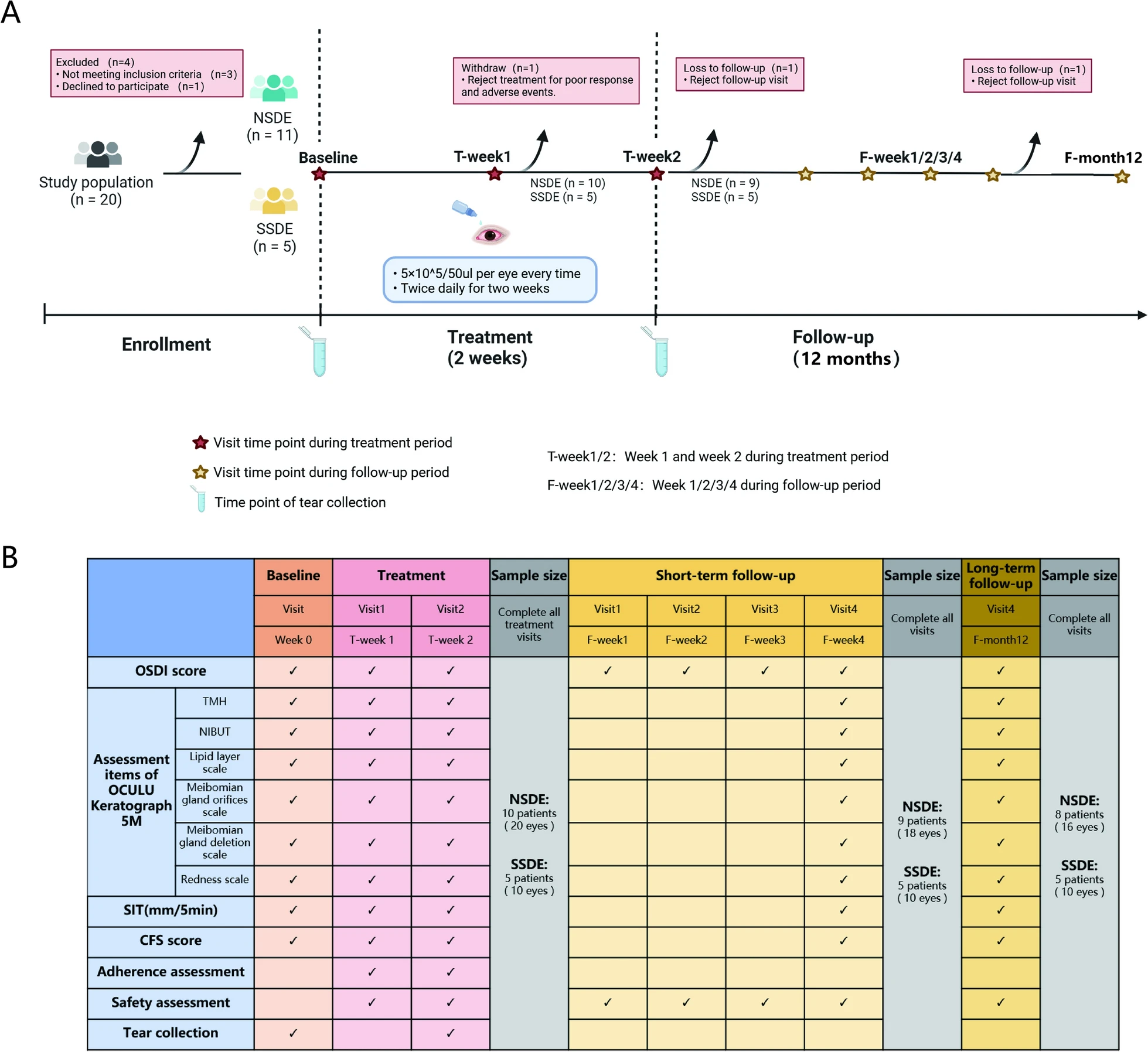 圖1：臨床試驗設計。