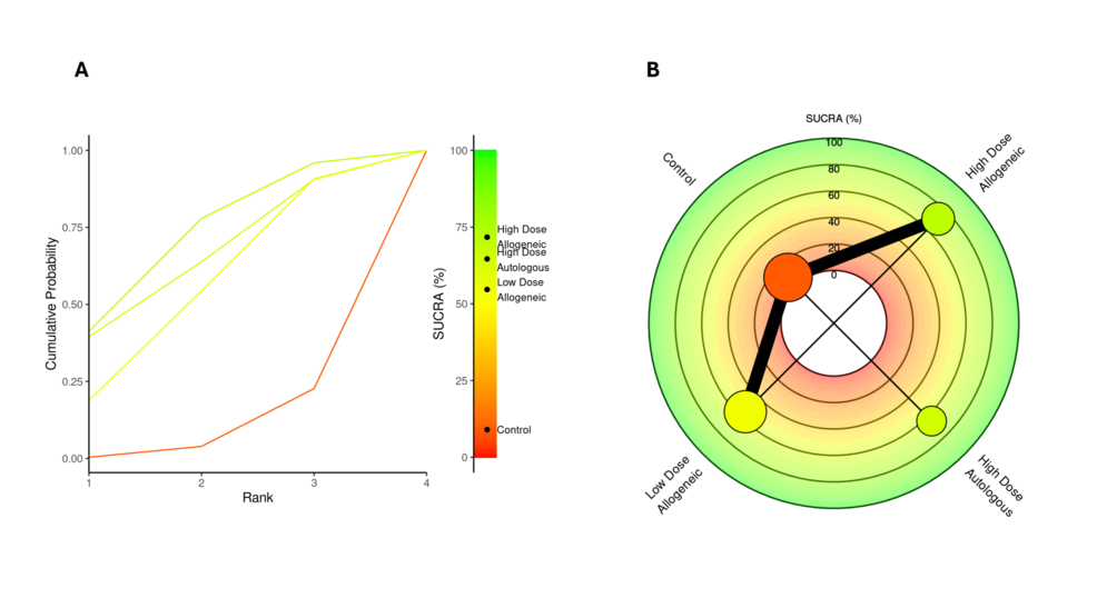 圖21：12個(gè)月時(shí)WOMAC評分的SUCRA秩圖