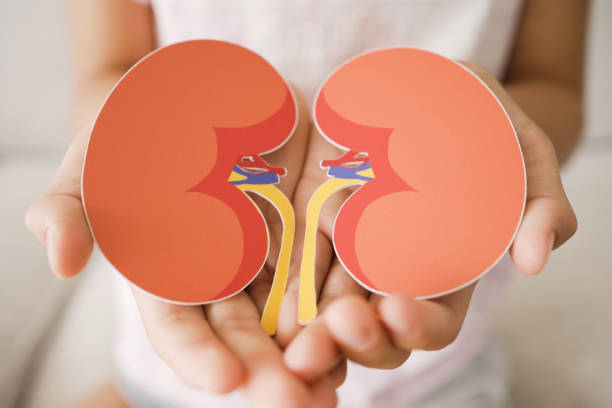 間充質(zhì)干細胞治療腎臟疾?。赫娴陌踩珕?？