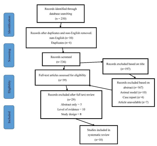 圖1：研究識別和選擇的流程圖-PRISMA圖（PRISMA，系統評價(jià)和薈萃分析的首選報告項目）。