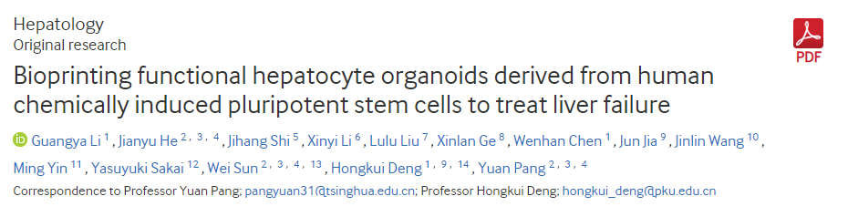 生物打印源自人類(lèi)化學(xué)誘導多能干細胞的功能性肝細胞類(lèi)器官以治療肝功能衰竭