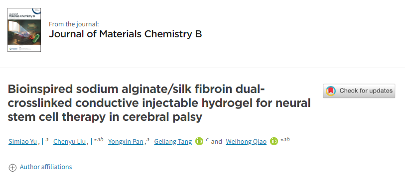 用于腦癱神經(jīng)干細胞治療的仿生海藻酸鈉/絲素蛋白雙交聯(lián)導電注射水凝膠