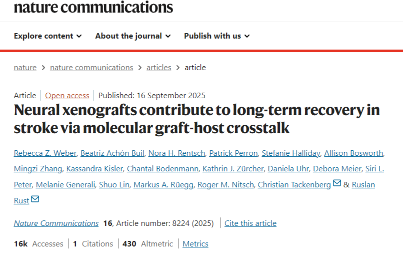 神經(jīng)異種移植通過(guò)分子移植物-宿主相互作用促進(jìn)中風(fēng)后的長(cháng)期康復