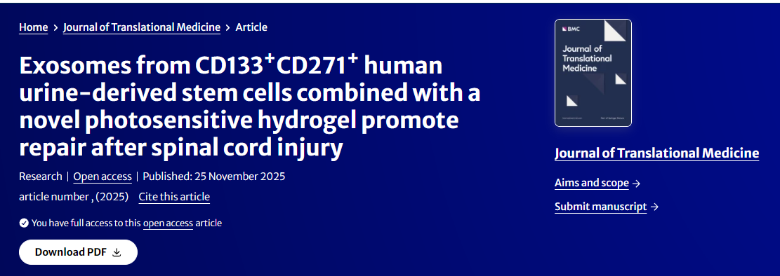 來(lái)自CD133?
+CD271+人尿源干細胞的外泌體與新型光敏水凝膠聯(lián)合使用可促進(jìn)脊髓損傷后的修復