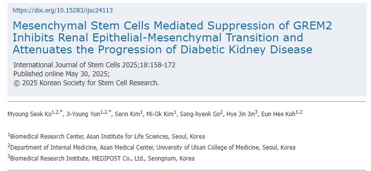 間充質(zhì)干細胞介導的GREM2抑制可抑制腎臟上皮-間充質(zhì)轉化并減緩糖尿病腎病的進(jìn)展