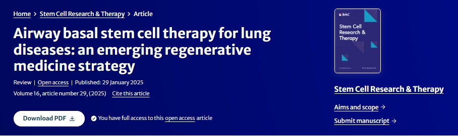氣道基礎干細胞治療肺部疾?。阂环N新興的再生醫學(xué)策略