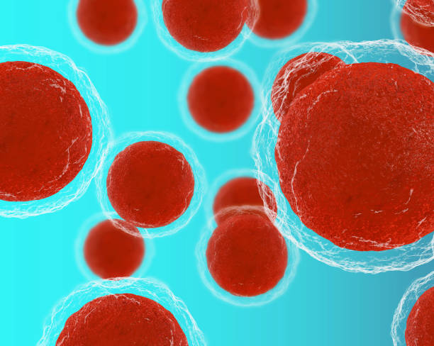 異體干細胞移植排異反應概率有多大全解析:從40%高風(fēng)險到9.1%的生存革命 異體干細胞移植排異反應概率有多大全解析:從40%高風(fēng)險到9.1%的生存革命