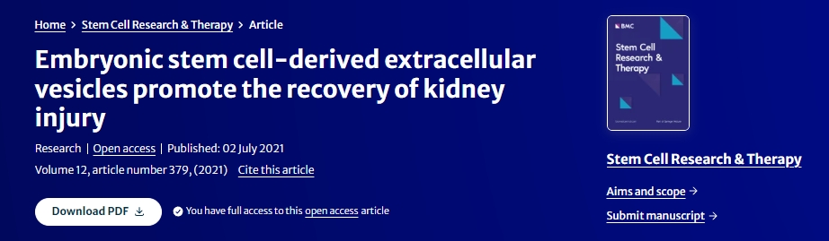胚胎干細胞來(lái)源的細胞外囊泡促進(jìn)腎臟損傷的恢復