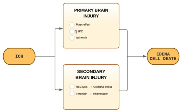 圖1：ICH病理生理學(xué)。