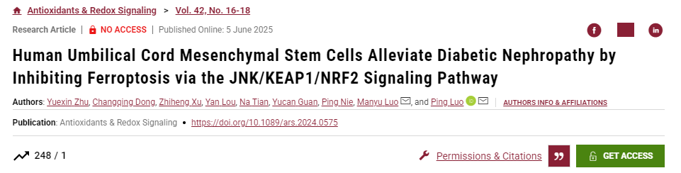 人臍帶間充質(zhì)干細胞通過(guò)JNK/KEAP1/NRF2信號通路抑制鐵死亡緩解糖尿病腎病