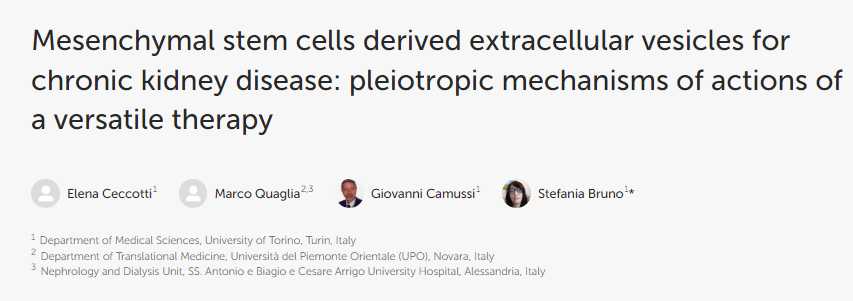 間充質(zhì)干細胞衍生的細胞外囊泡用于治療慢性腎臟?。憾喙δ墀煼ǖ亩嘈ё饔脵C制