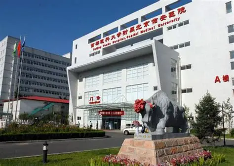 首都醫科大學(xué)附屬北京佑安醫院