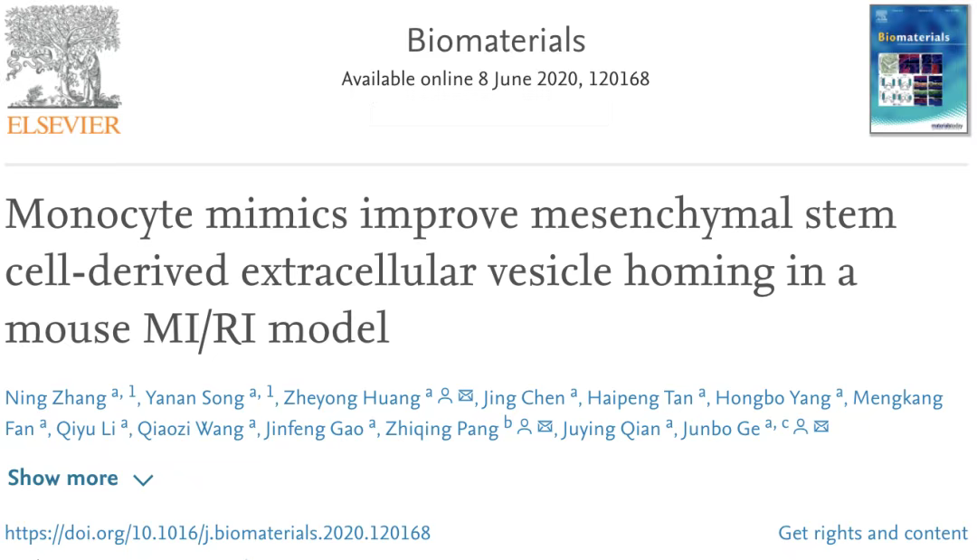 單核細胞仿生物修飾間充質(zhì)干細胞外囊泡改善其對小鼠心肌缺血再灌注損傷的歸巢