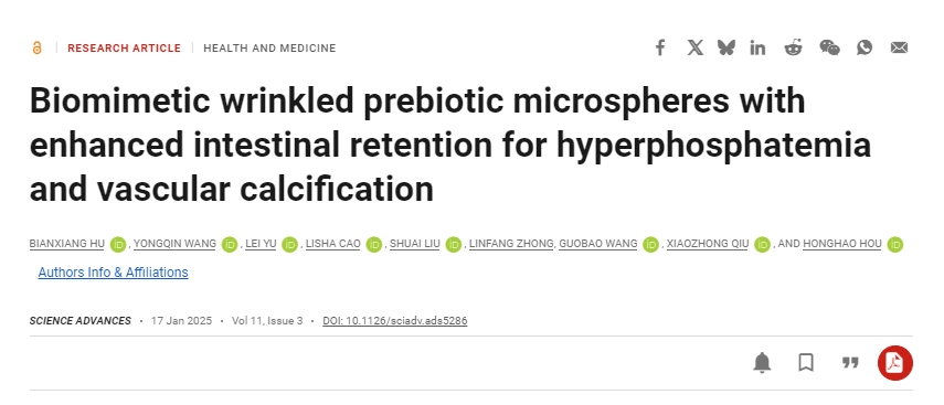 仿生皺紋益生元微球增強腸道保留，用于治療高磷血癥和血管鈣化