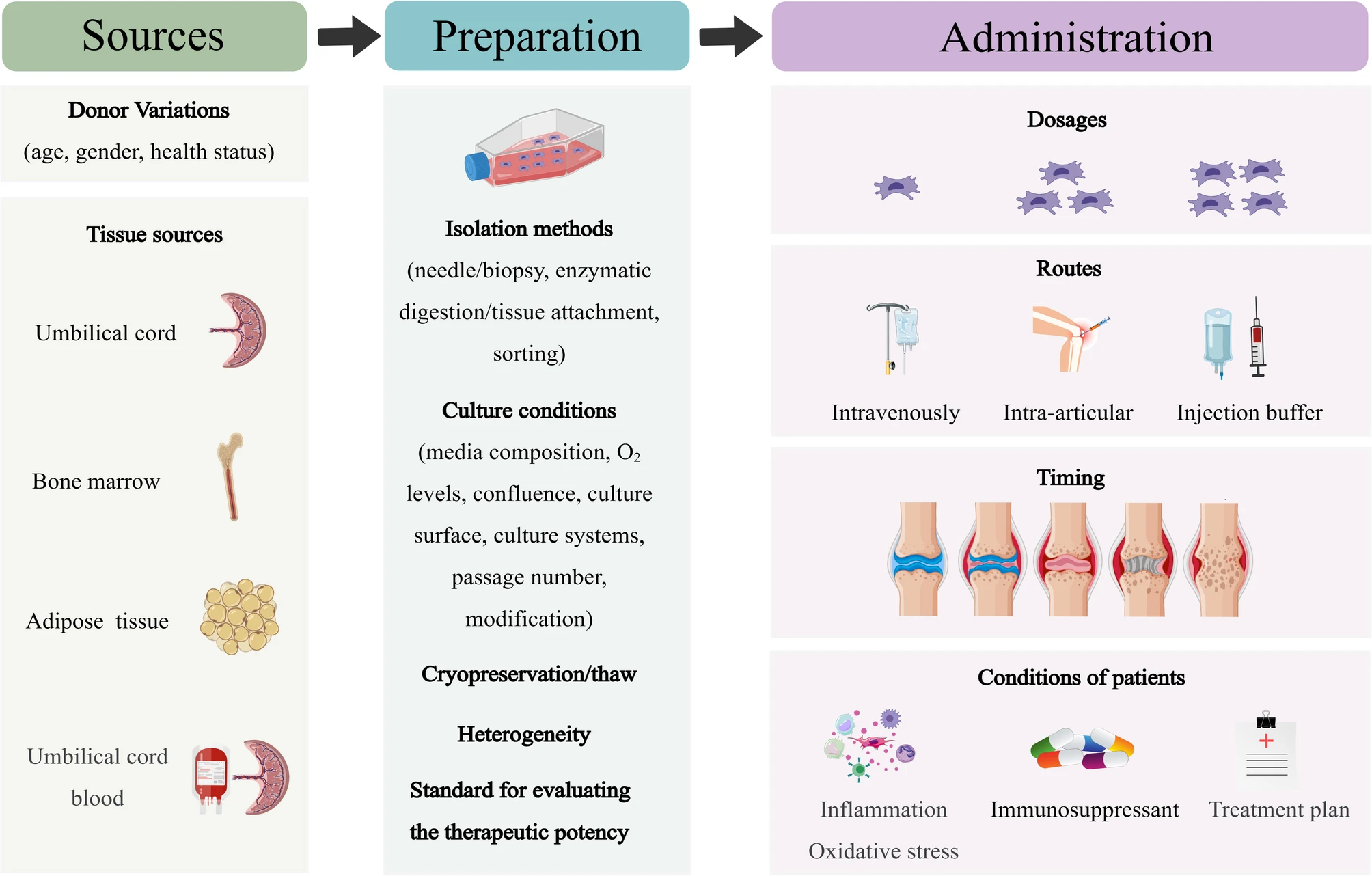 圖6：MSCs在類(lèi)風(fēng)濕性關(guān)節炎的臨床應用中，需要精確地標準化參數。