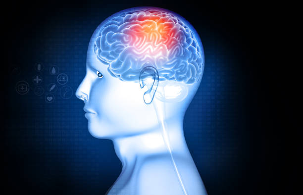 細胞療法治療創(chuàng  )傷腦損傷：機制、臨床突破與未來(lái)展望