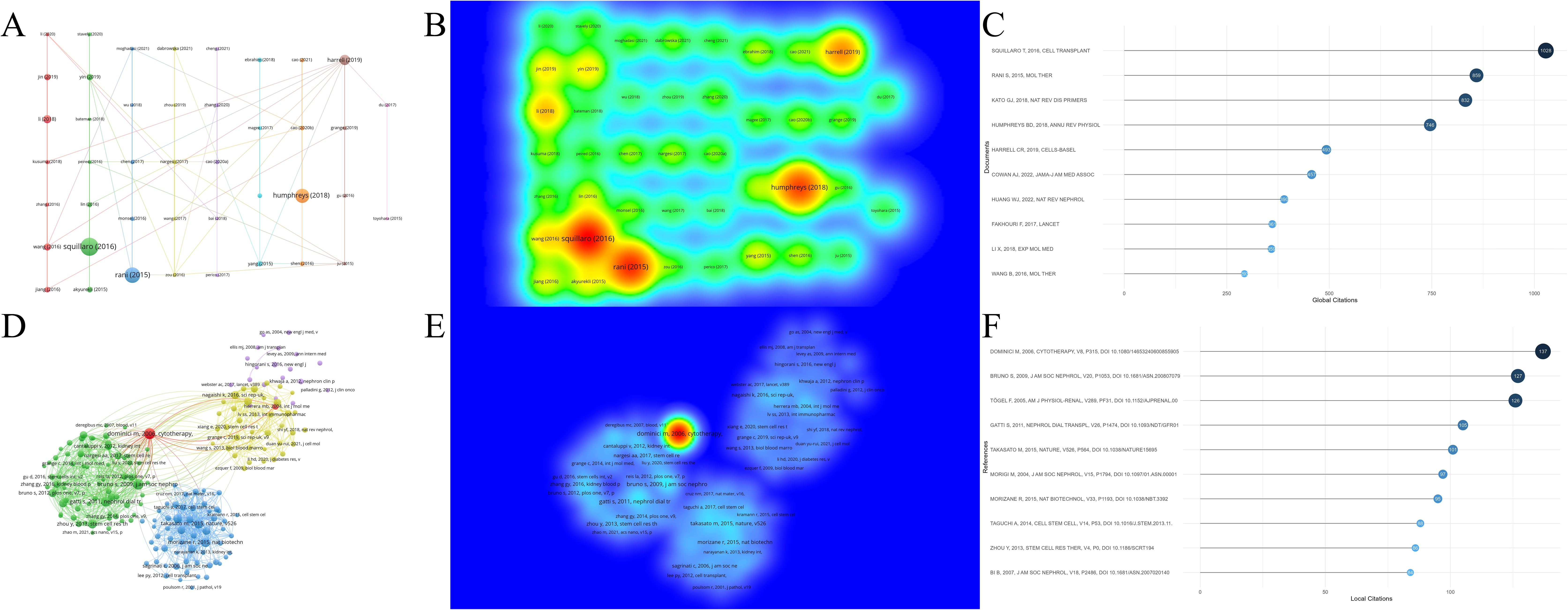 圖7：腎臟疾病干細胞治療研究中被引文獻及參考文獻分析。
