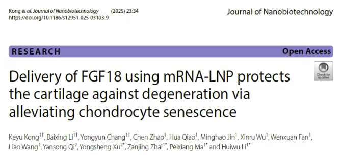 使用 mRNA-LNP 遞送 FGF18 可通過(guò)緩解軟骨細胞衰老來(lái)保護軟骨免于退化
