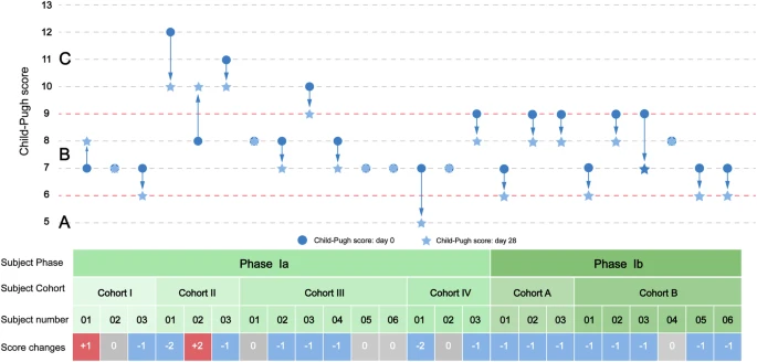 圖2：從基線(xiàn)到第28天，個(gè)人Child-Pugh評分的變化。