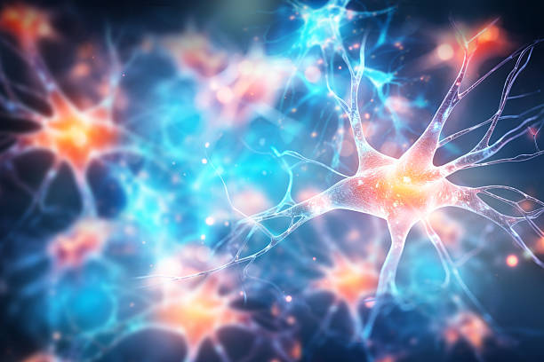 神經(jīng)干細胞移植能治療哪些疾??？包含帕金森、脊髓損傷等6大適應癥