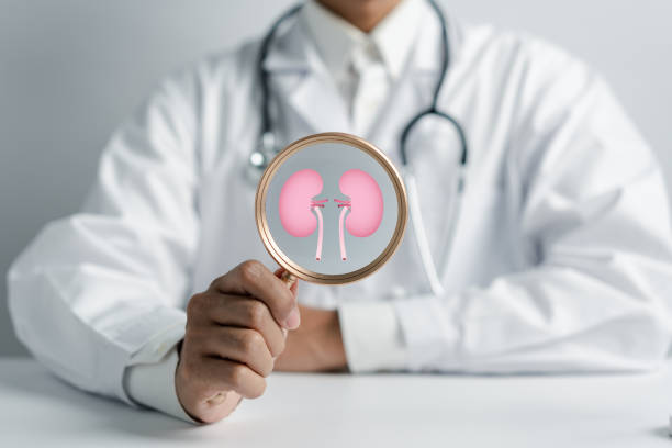 動(dòng)脈內輸注間充質(zhì)干細胞治療糖尿病腎病，腎功能衰退顯著(zhù)減緩