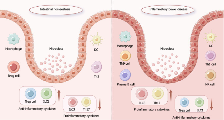 圖1：炎癥性腸病的發(fā)病機制。