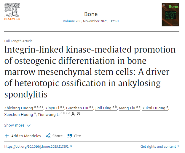 整合素連接激酶介導促進(jìn)骨髓間充質(zhì)干細胞成骨分化：強直性脊柱炎異位骨化的驅動(dòng)因素
