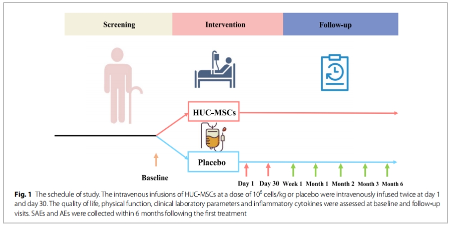 干細胞治療 干細胞治療