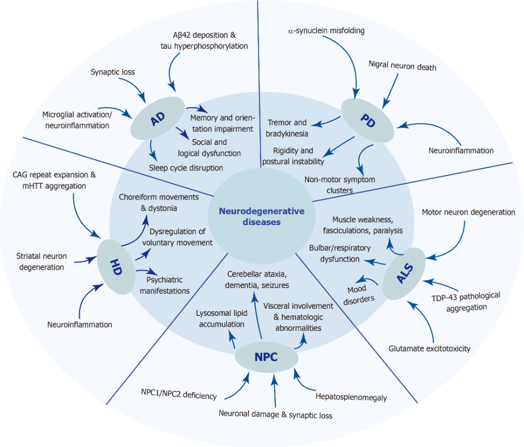 圖1：五種神經(jīng)退行性疾病的發(fā)病機制和臨床表現。 該圖總結了五種神經(jīng)退行性疾病復雜的病因和表型譜。