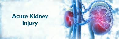 干細胞治療急性腎損傷:1例患者術(shù)后血清肌酐水平顯著(zhù)改善 | 成功案例 干細胞治療急性腎損傷:1例患者術(shù)后血清肌酐水平顯著(zhù)改善 | 成功案例