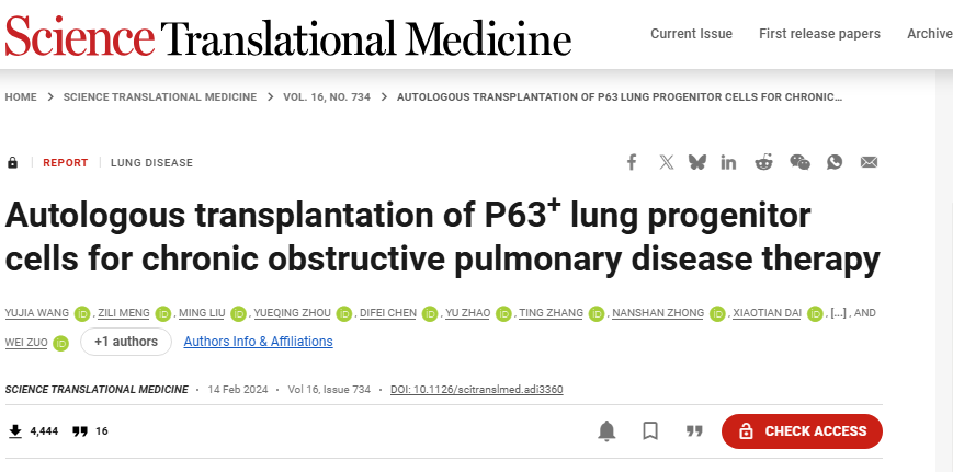 左為教授團隊與鐘南山院士等合作肺前體細胞治療慢阻肺臨床研究成果登上《科學(xué)-轉化醫學(xué)》