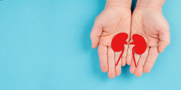 干細胞移植治療狼瘡性腎炎：I期臨床試驗9例結果公布，療效顯著(zhù)