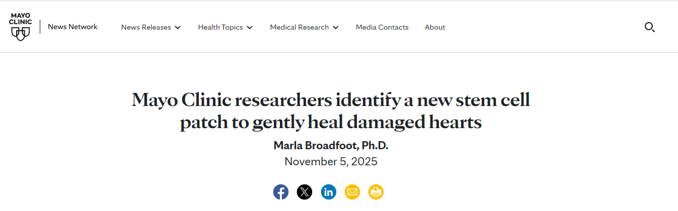 梅奧診所的研究人員發(fā)明了一種新型干細胞貼片，可以溫和地修復受損心臟